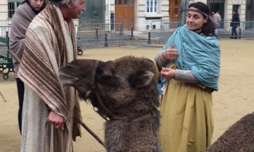 L'équipe Michel Magnaval, dresseur de dromadaire